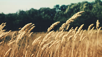 云呼叫中心系统