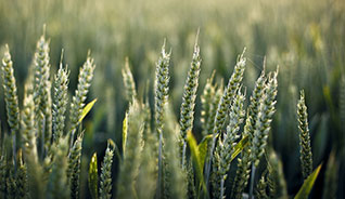 无限轰炸手机号码软件